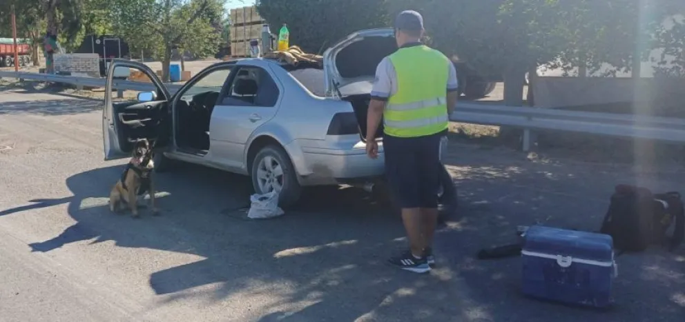 Uno de los canes de la Policía rionegrina, detectó estupefacientes en un control policial