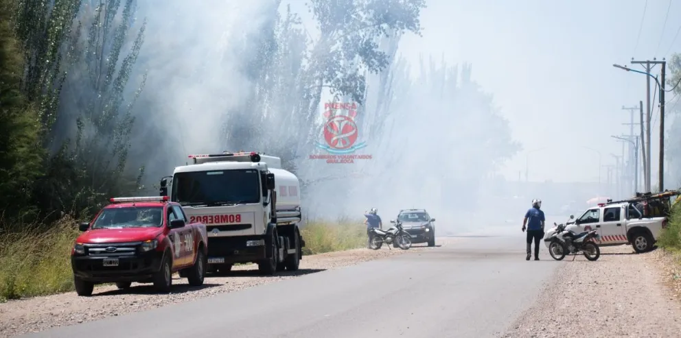 Bomberos trabajó cerca de cuatro horas en un incendio en Ruta 22 y Castello