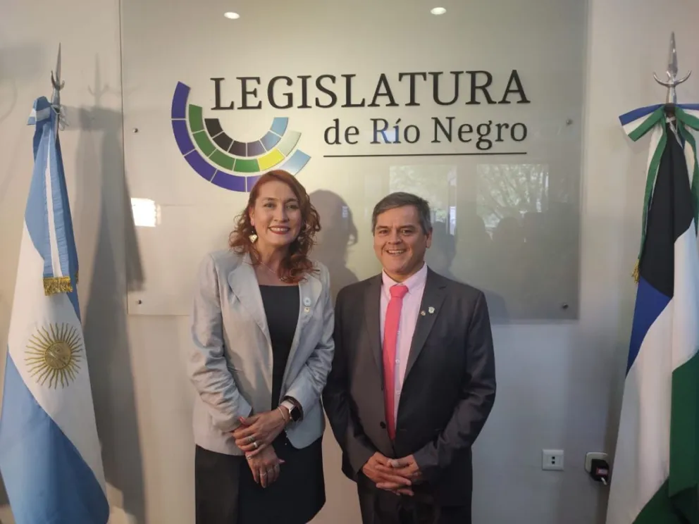 Los legisladores de UCR presentaron un proyecto que rechaza algunos puntos de la “Ley Ómnibus”