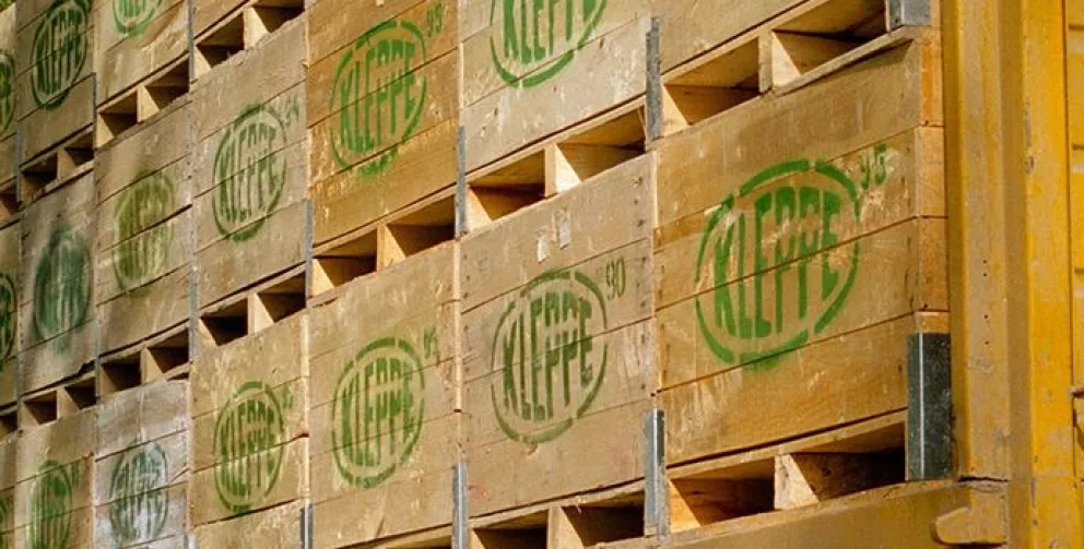 Una reconocida empresa de la región busca incorporar empleados