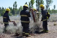 Los bomberos tuvieron trabajo a destajo por incendios de pastizales