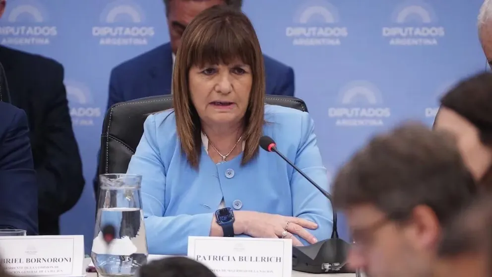Bullrich pidió expulsar inmediatamente del país a los extranjeros que cometan delitos