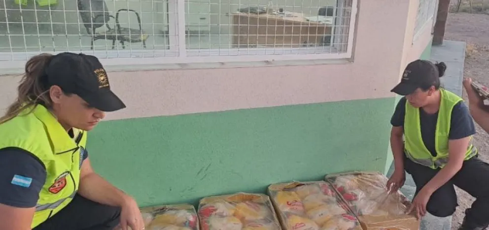Decomisan y queman 100 kilos de pollo en operativo de control vehicular
