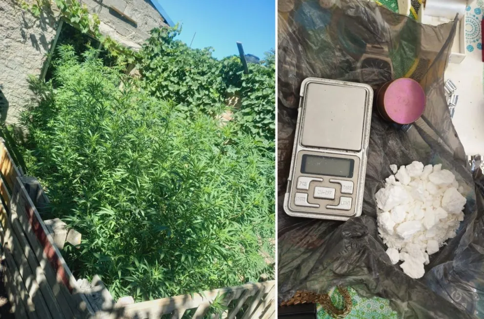 Un nuevo golpe al narcotráfico en Roca con importantes resultados