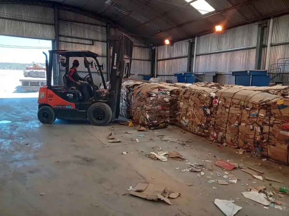 Éxito en la Recuperación: Roca Comercializó Casi 300 mil kilos de cartón en 2023