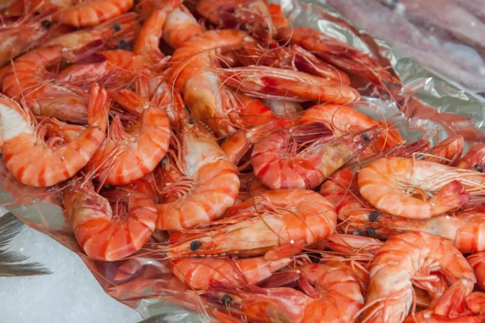 Paro del SUPA en Chubut: Descartan 340.000 kilos de langostinos y dejan a doce barcos pesqueros sin salida