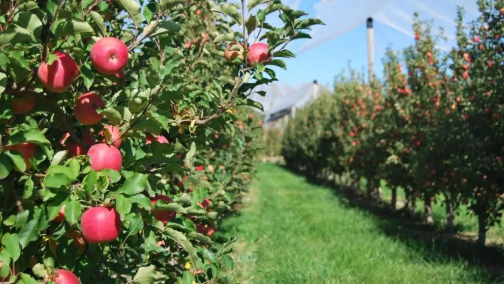 Golpe comando: Le robaron 10 millones de pesos a un productor