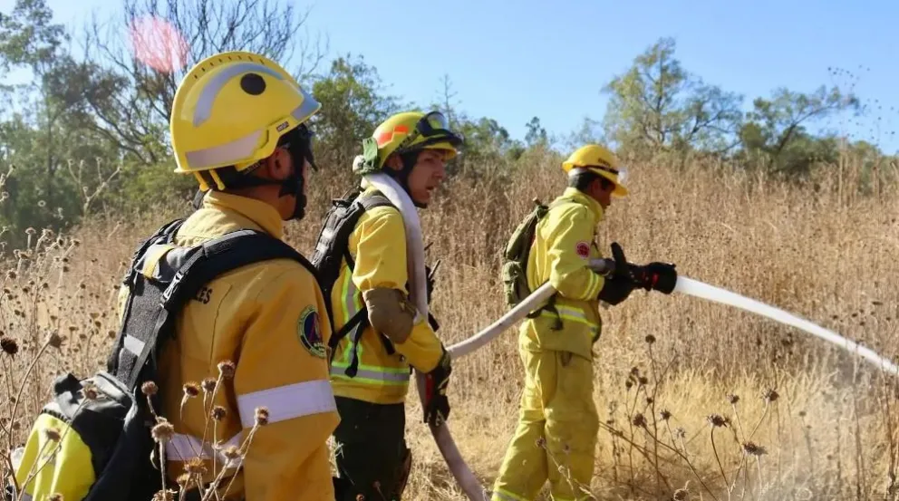 Ante las altas temperaturas, advierten condiciones de riesgos de incendios forestales