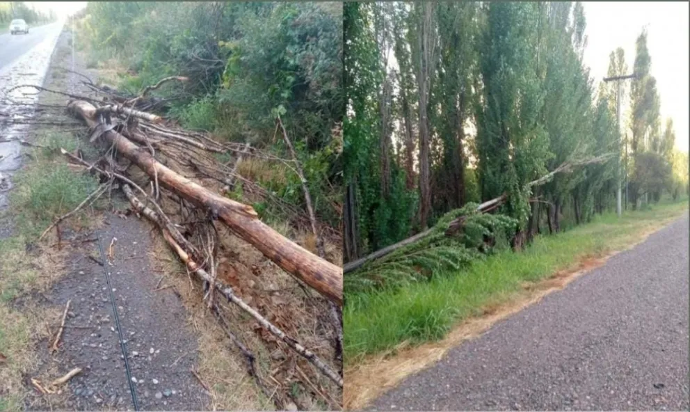 Problemas tras la lluvia: Realizaron operativos de emergencia para restablecer el servicio eléctrico en Roca
