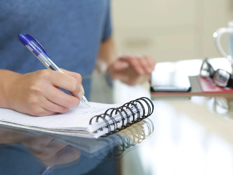 Seminarios de verano en Roca: ¡No te quedes afuera y conoce todos los detalles!