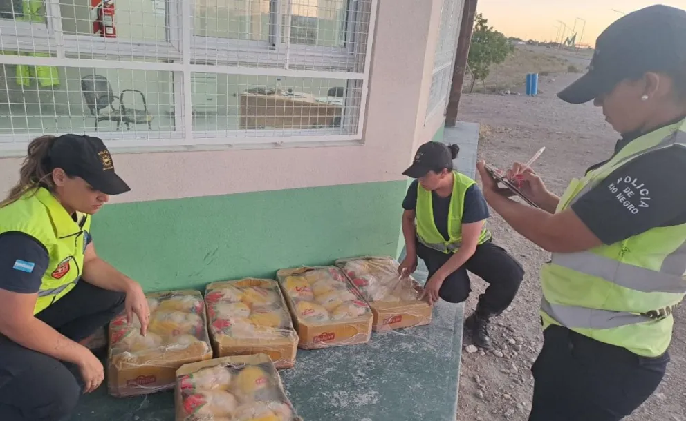 Fortalecen en la región los operativos de decomiso de carne transportada de manera irregular