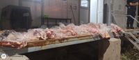 Buscaban ingresar 600 kilogramos de carne con hueso expuesta a altas temperaturas