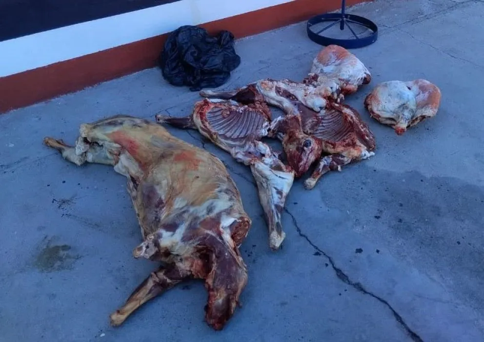 La policía decomisó carne transportada de forma irregular en Paso Córdoba