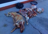 La policía decomisó carne transportada de forma irregular en Paso Córdoba