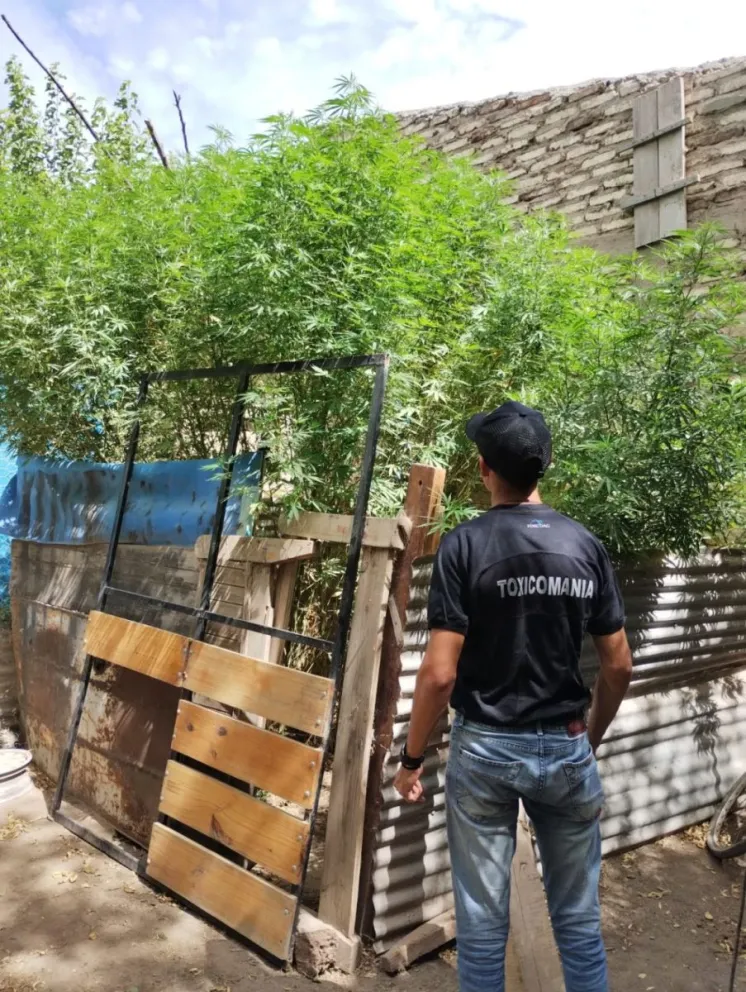 Gracias a un llamado anónimo desmantelaron dos puntos de venta de drogas en el Alto Valle
