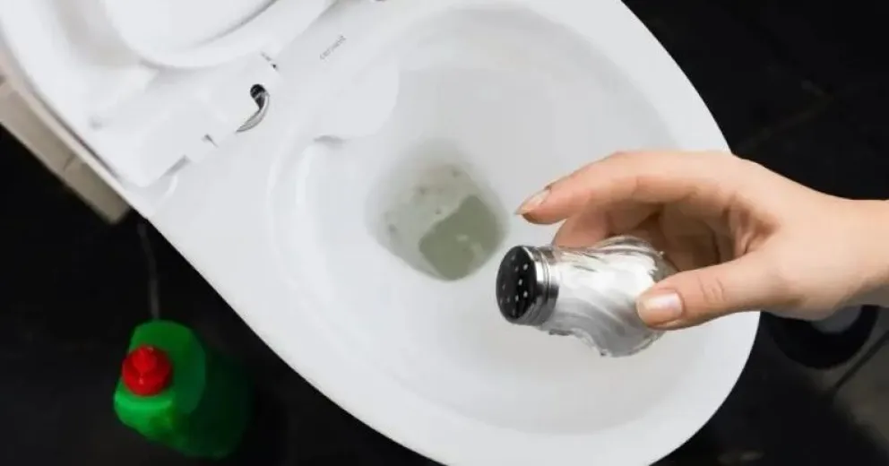 El secreto con sal para mantener limpio tu inodoro