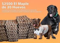 Bomberos realizan una venta solidaria para solventar gastos veterinarios de sus compañeros perrunos