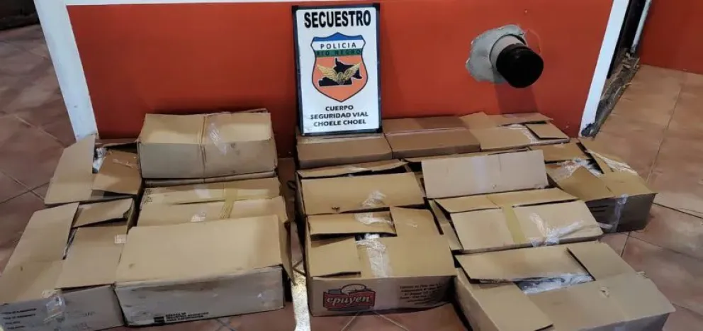 Decomisan 170 kilos de mariscos y calamares por falta de documentación
