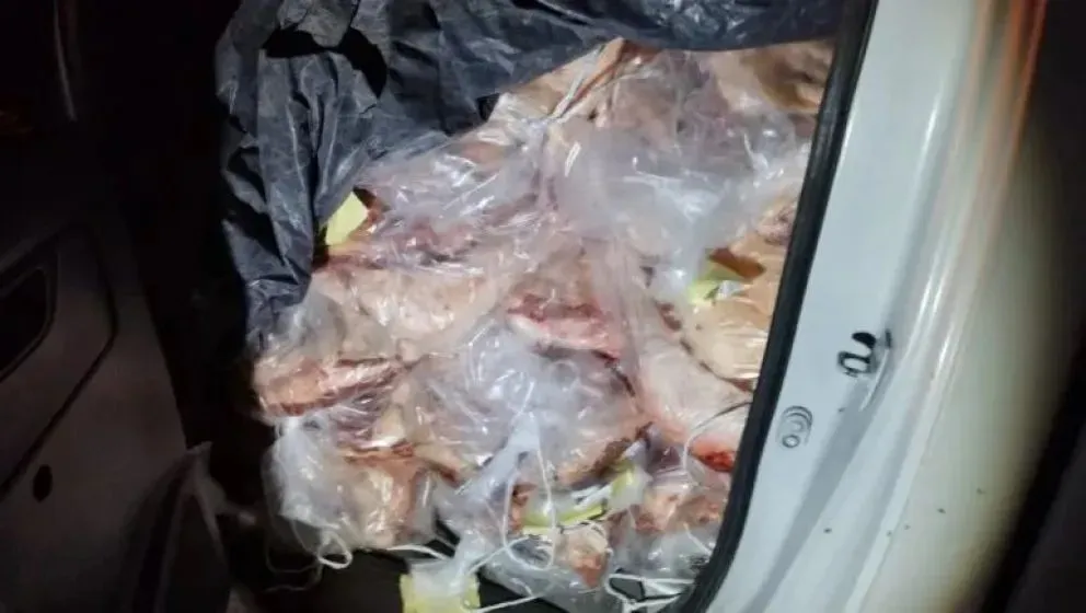 Lo atraparon llevando 600 kilos de carne hacia el Alto Valle