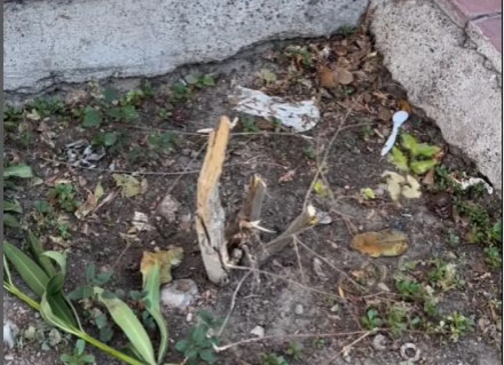 Una tienda de Roca denunció un insólito hecho de vandalismo 