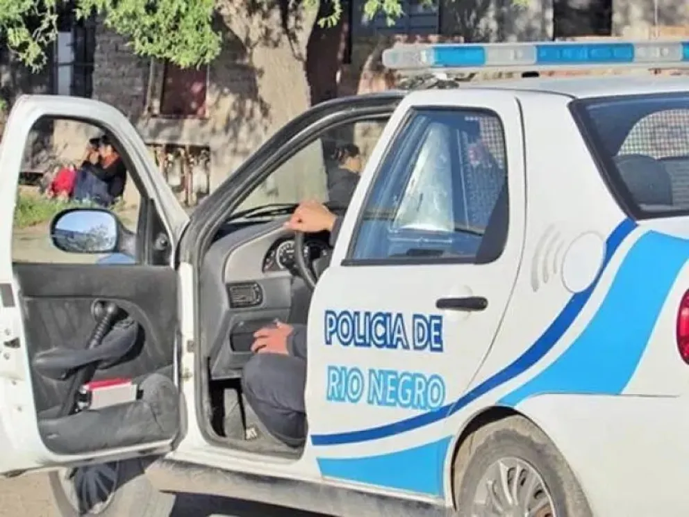 Pareja delictiva: Quedaron detenidos tras ser atrapados robando en una plaza de la región