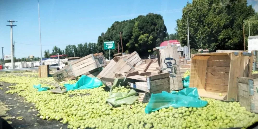 Un camión volcó un cargamento de peras en la ruta