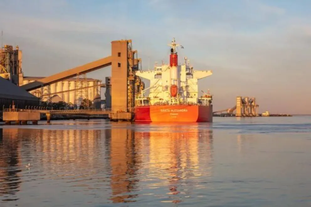 Derrames de petróleo en Bahía Blanca: persisten los daños en el ecosistema afectado