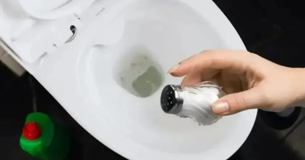 El truco infalible para mantener tu inodoro libre de bacterias