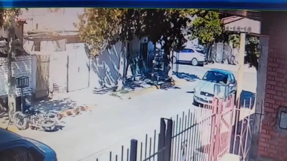 ¿Qué se le cruzó? un motociclista chocó contra un árbol