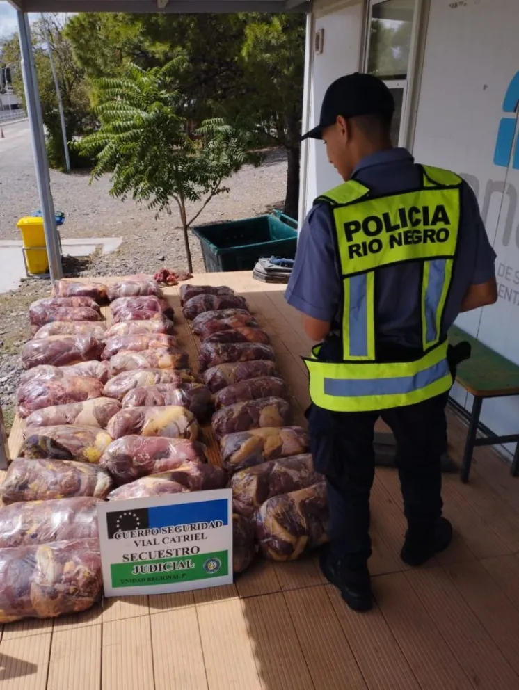 Traían más de 400 kilos de carne al Alto Valle y los decomisaron en la barrera sanitaria 
