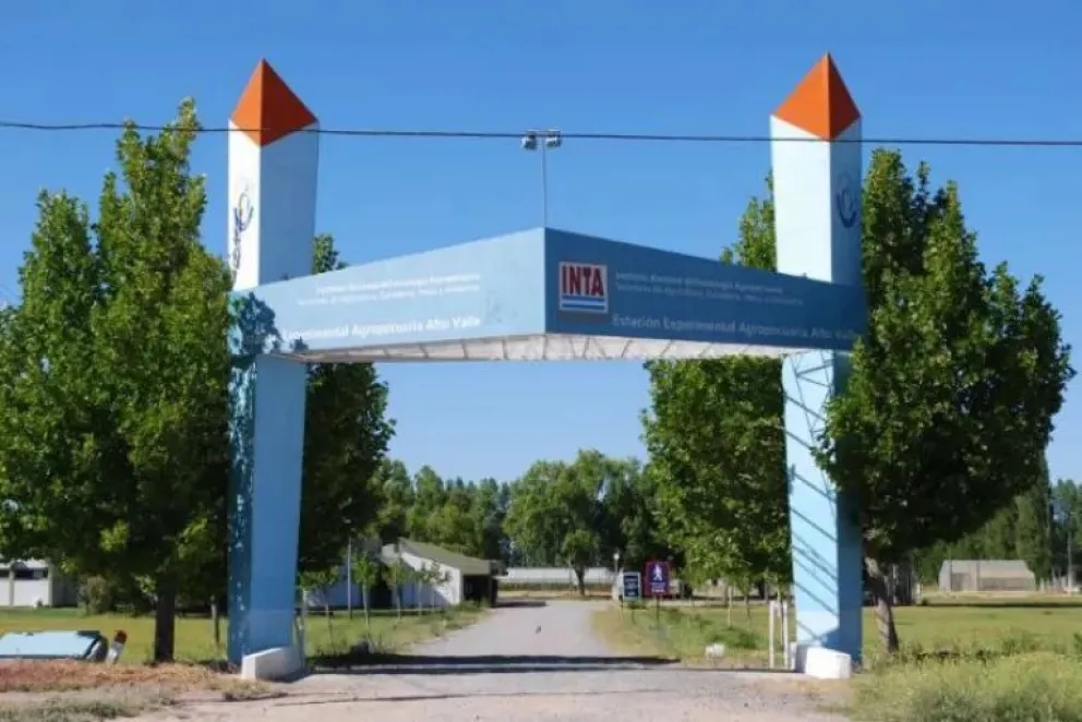 Anuncian despidos y venta de inmuebles del INTA: en la región se mantienen alerta y hay asambleas