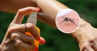 Cómo preparar el repelente casero de mosquitos que se hizo viral en las redes