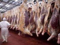 Se exportará carne Rionegrina a Emiratos Árabes
