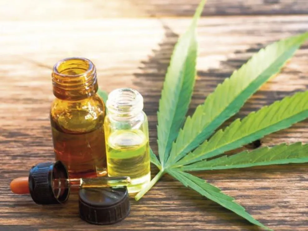 Realizarán una charla abierta sobre cannabis para uso medicinal en la región