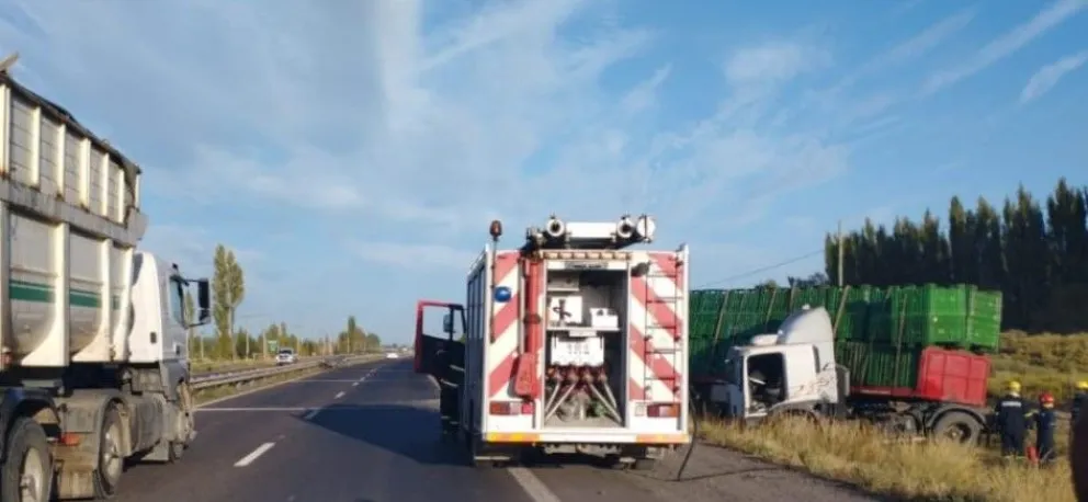 Ruta 22: Un camión reventó un neumático y terminó en despiste