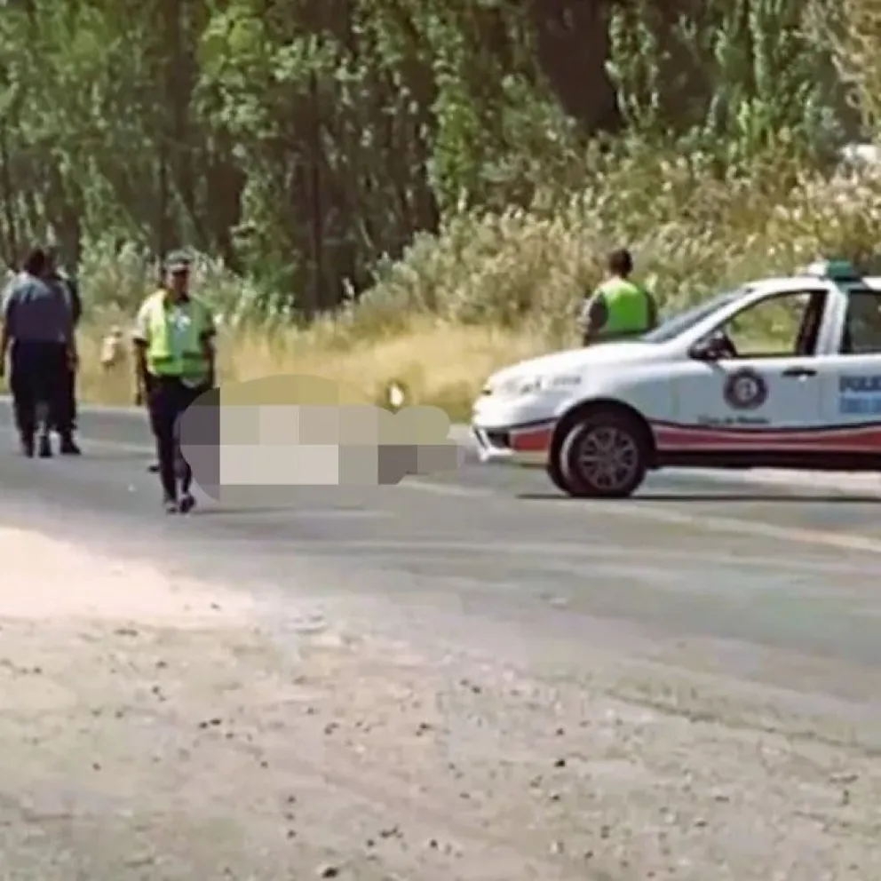 Identificado el hombre que perdió la vida tras ser atropellado por un camión en Ruta 22
