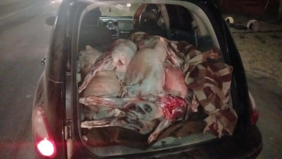 Decomisaron 2500 kilos de carne en el ingreso a la región