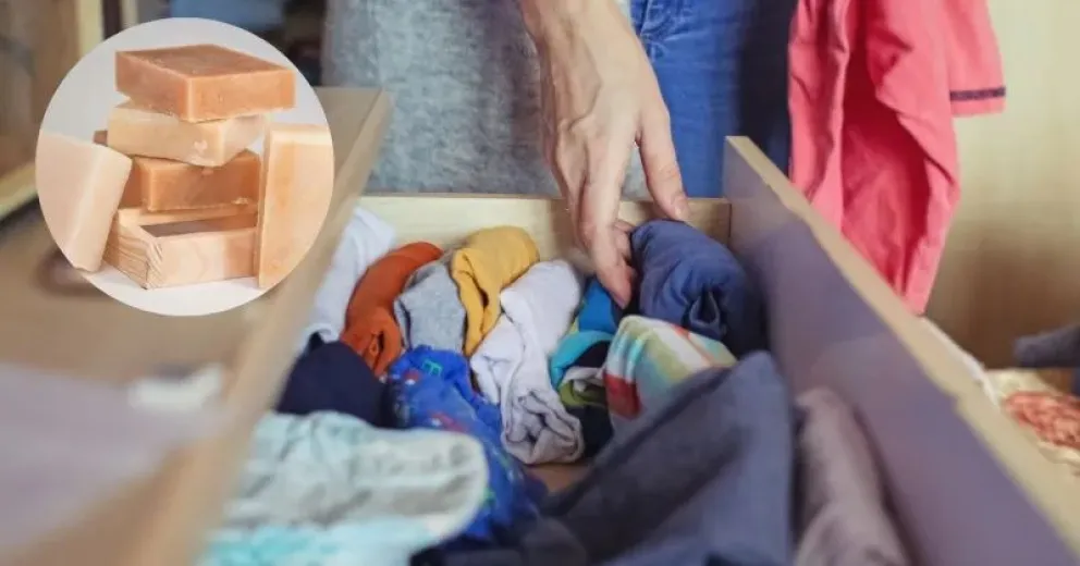 El secreto del jabón: el truco casero para mantener tu ropa fresca y con aroma agradable