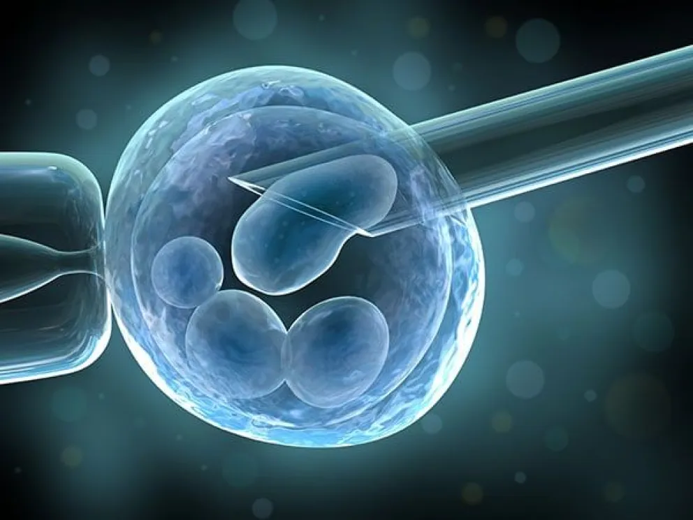 Ordenaron la cobertura total y urgente de un tratamiento de fertilización in vitro en Roca