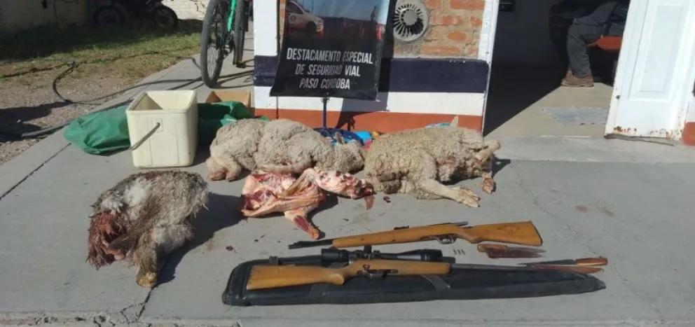 Paso Córdoba: llevaban dos ovejas y medio choique y los atrapó la policía 