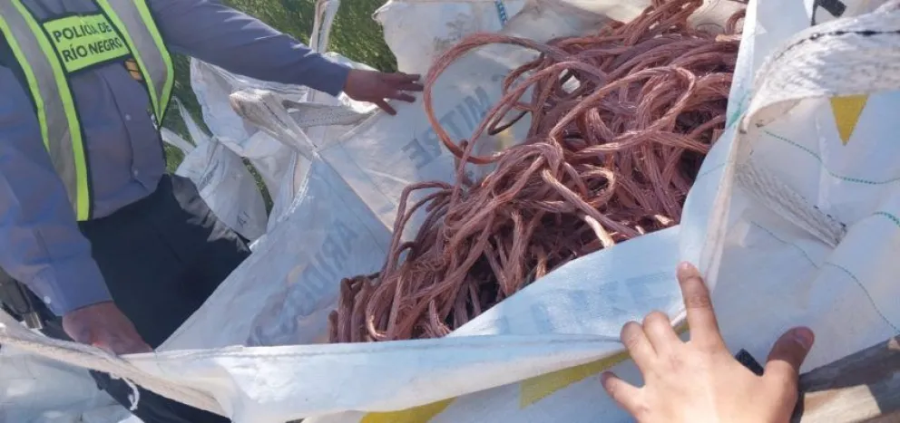 Secuestran más de una tonelada de metales robados en la región