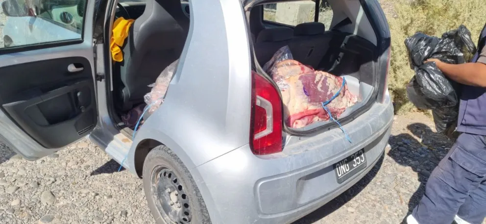 Decomisaron 630 kg de carne transportada sin cadena de frío hacia el Alto Valle