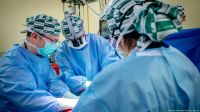 Avance médico: un riñón de cerdo fue trasplantado con éxito en un paciente