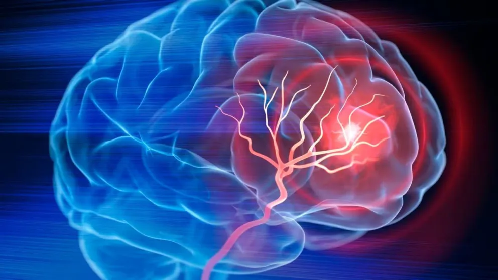 Expertos en Harvard revelan consejos nutricionales para tener un cerebro más fuerte