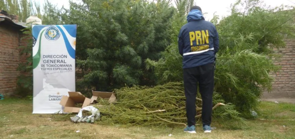 Cae red de narcotráfico en la región: hay seis personas imputadas