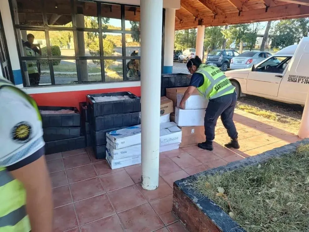 Semana Santa: intentó contrabandear pescado en un viaje al Alto Valle y lo decomisaron