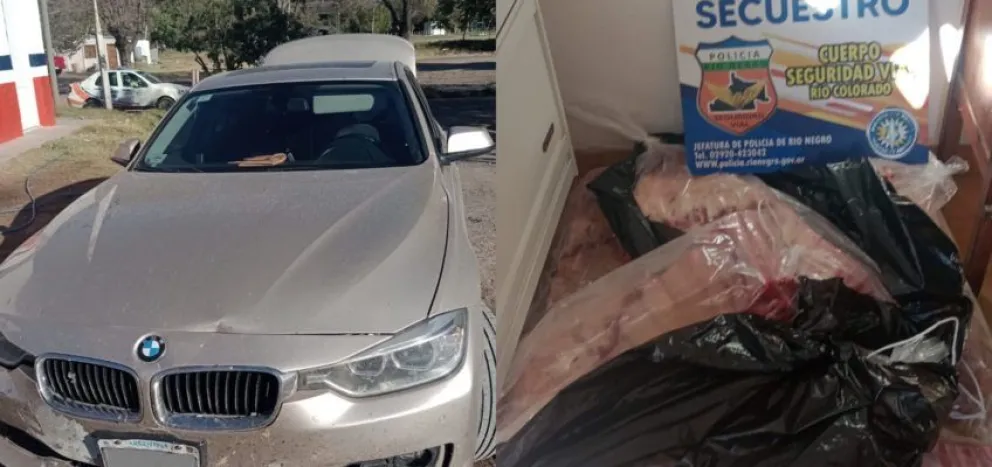 Secuestran 100 kilos de carne que era traída desde La Pampa a la región