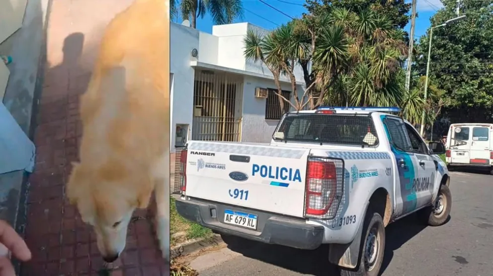 Terminó demorada por la Policía tras llevar a su perro a la carnicería para que lo faenen