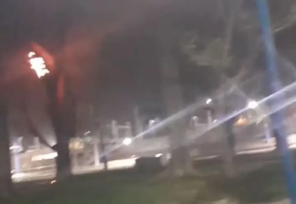 Se incendió un árbol debido a los chispazos de un tendido eléctrico 