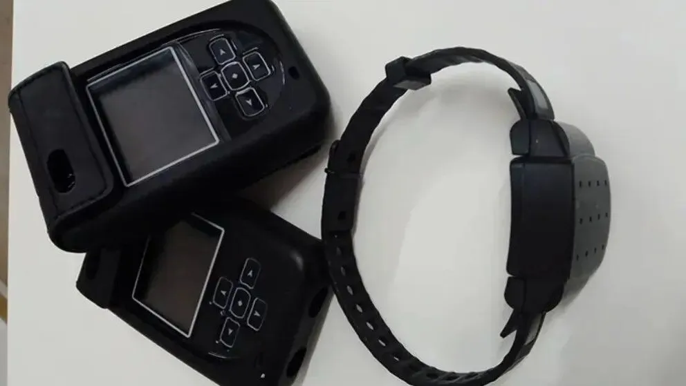 Violencia de género: cómo funcionan los dispositivos de protección